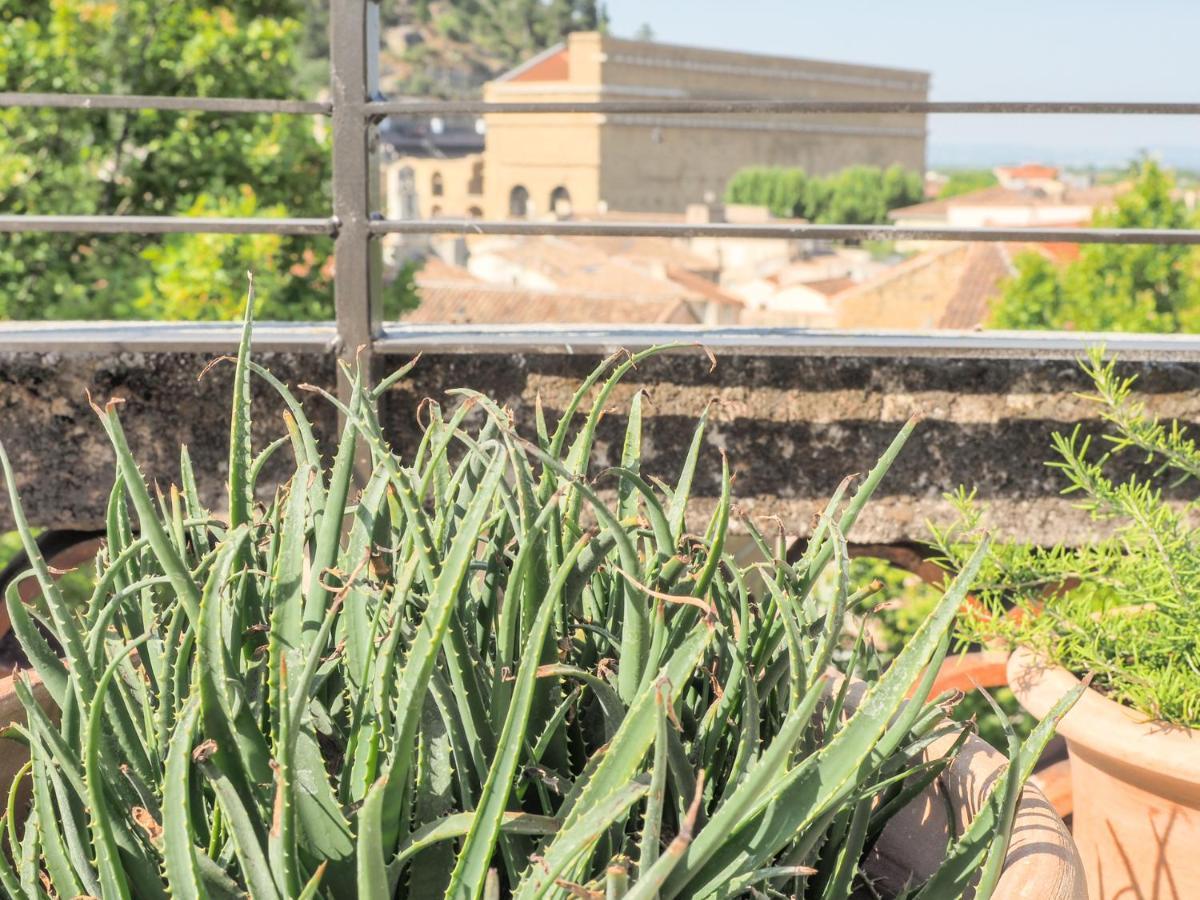 Le Rooftop - Vue Incroyable Sur Le Theatre Antique Orange  Ngoại thất bức ảnh